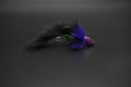 Bass Buddy - Black and Purple