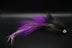 Cod Buddy - Black and Purple